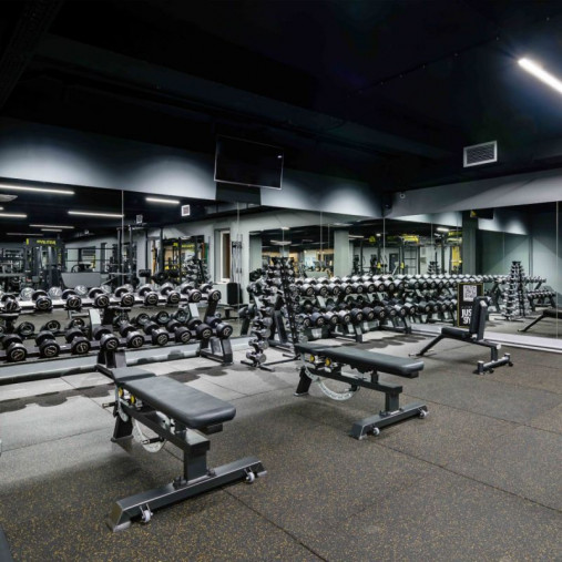 Скамья универсальная, мобильная DHZ Super Bench A3039 Скамья универсальная, мобильная DHZ Super Bench A3039