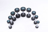 Гантели в уретане LIVEPRO Studio Dumbbells 2 кг, черный/синий