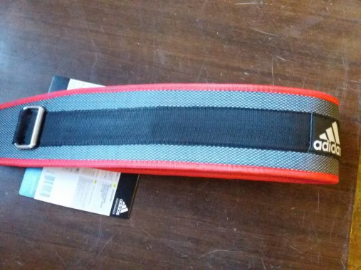 Пояс тяжелоатлетический Adidas ADGB-12238 (L, нейлон) Пояс тяжелоатлетический Adidas ADGB-12238 (L, нейлон)